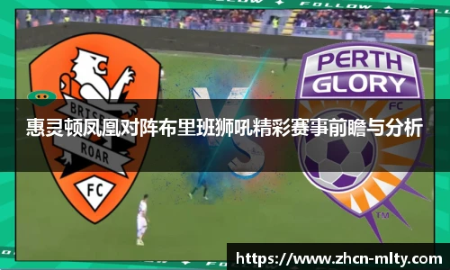 惠灵顿凤凰对阵布里班狮吼精彩赛事前瞻与分析